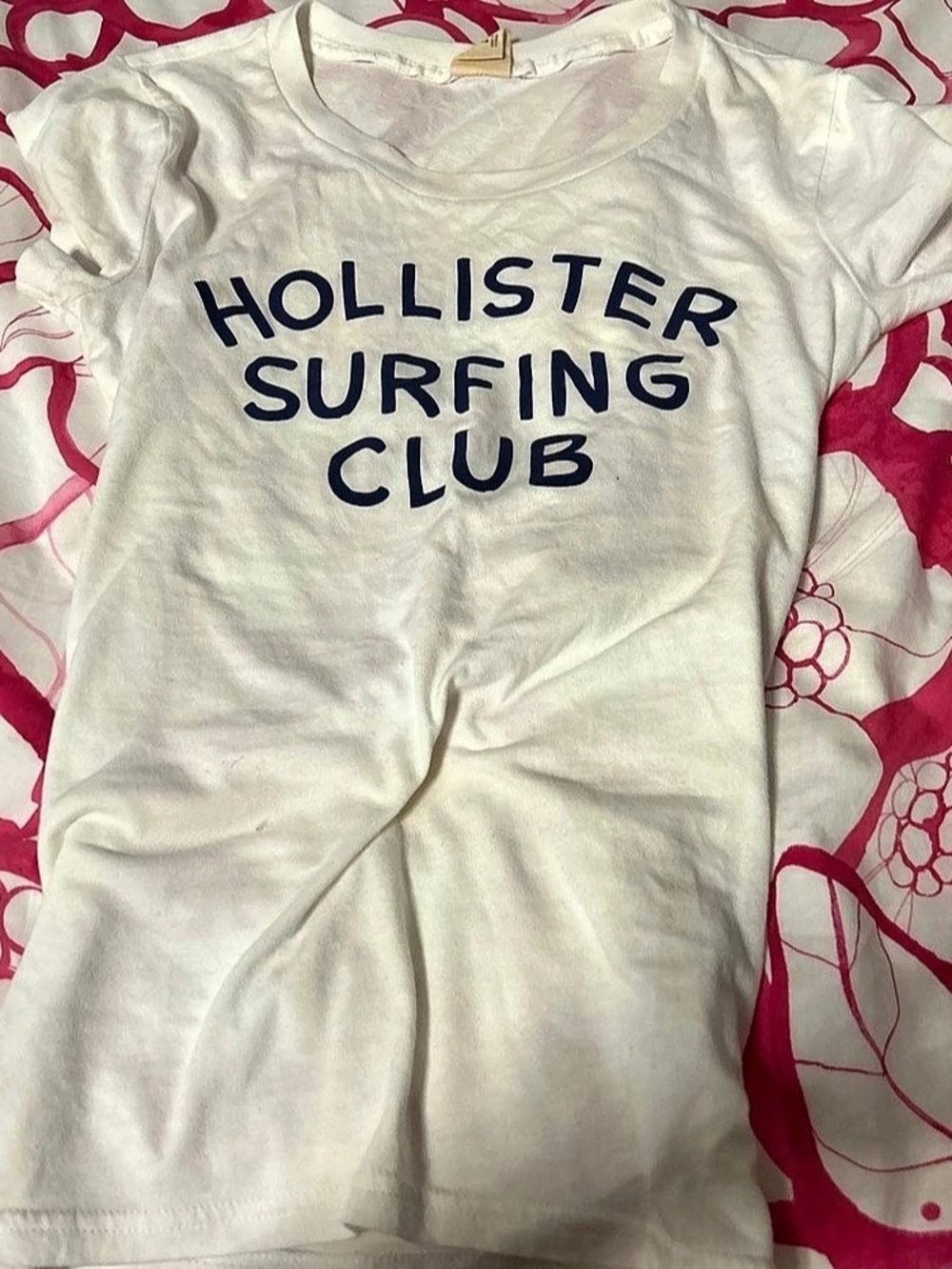 Hollister Short Sleeve Graphic Tee in White